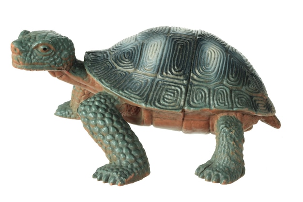 Toy Tortoise