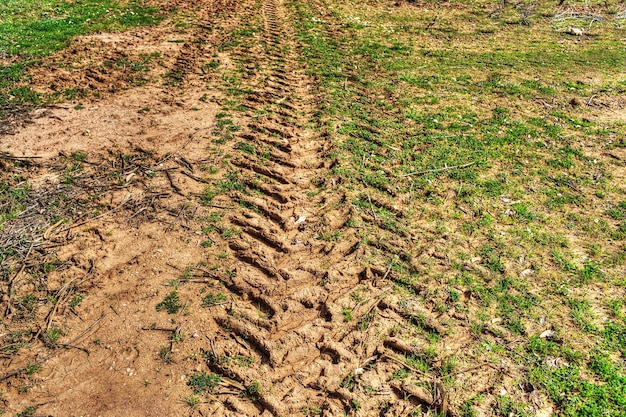 Tractor trail on the soil and grass in hdr