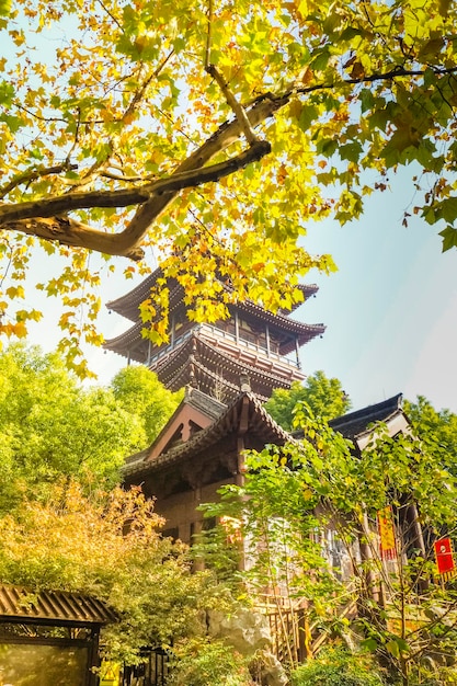 Traditional temple Shrine architecture in Osaka with autumn leaves in Japan China Fall Leaves.