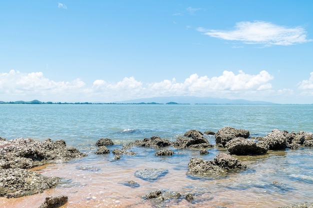 Photo travel in nature at a beach and tropical sea with blue sky and have a reef and rock beach