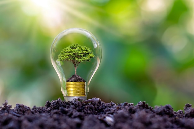 Tree grows in light bulbs, energy-saving and environmental concepts on Earth Day.