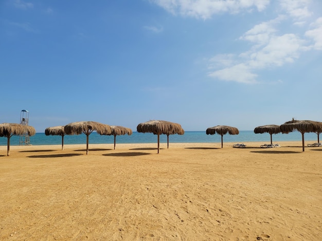 Tropical beach in summer