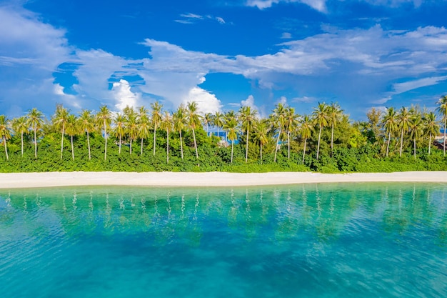 Foto una spiaggia tropicale con palme e un cielo blu con nuvole