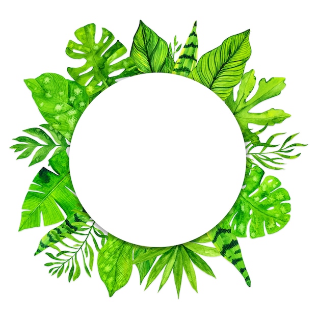 Tropical exotic leaves frame on white background. Watercolor illustration