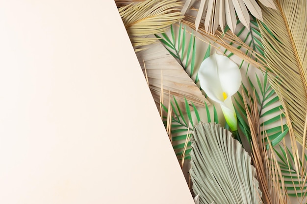 Photo tropical natural background with palm leaf and flower on pastel beige flat lay copy space