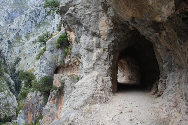 A tunnel on the trail in the Picos de Europa on the route of Cares Asturias vertical photo