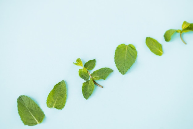 Verse groene muntblaadjes op blauwe achtergrond plat leggen Ruimte voor tekst