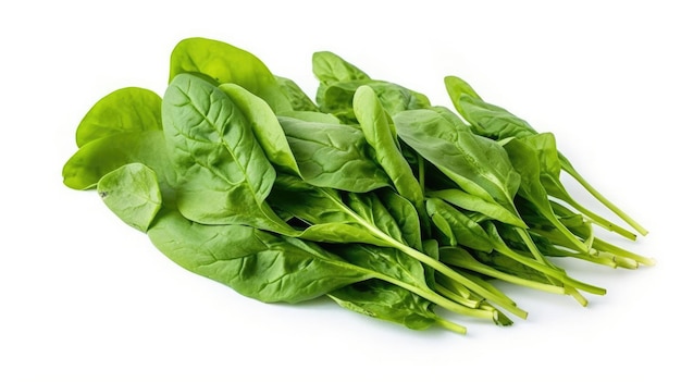 Vibrant Green Spinach