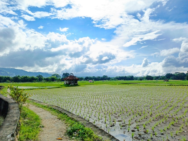 Photo view of the cottage in the middle of agricultural fields