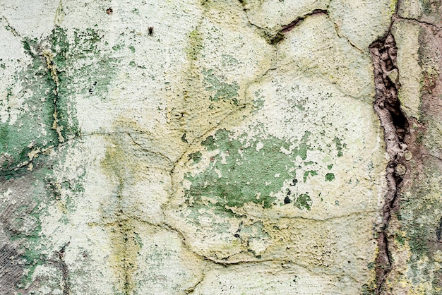 Wall fragment with scratches and cracks