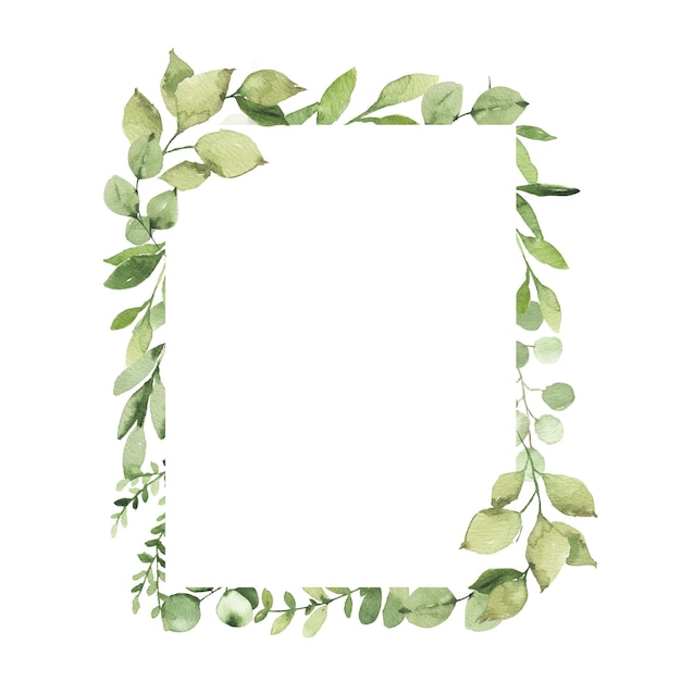 Photo watercolor geometrical frame with greenery leaves branch twig plant herb flora isolated