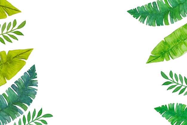 Watercolor, hand-drawn green tropical leaves on white background.