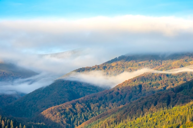 Waves of Morning Mist in Wooded Mountains