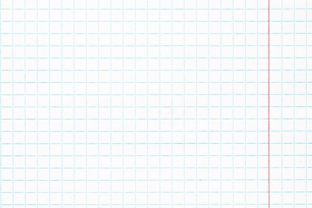 White checkered paper texture notebook sheet with empty space