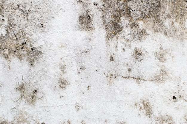 Photo white concrete wall texture