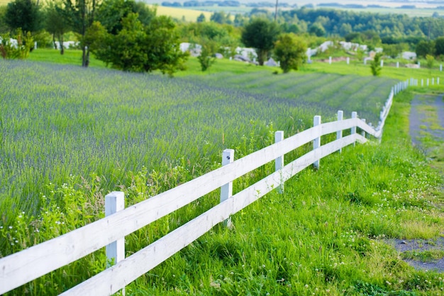 A white fence with a white fence in the middle of it