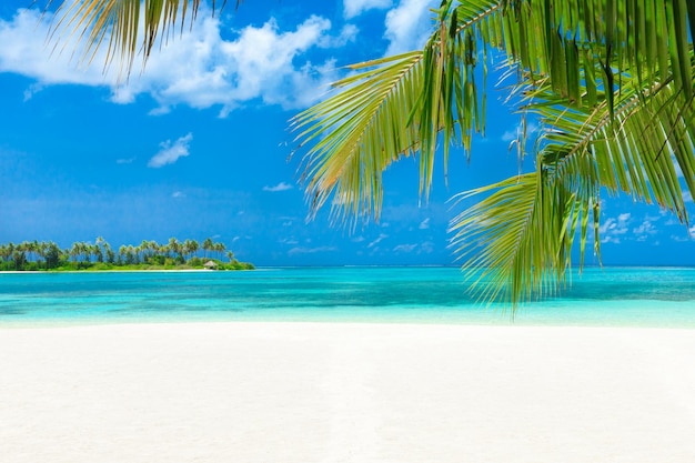 White tropical beach in Maldives with few palm trees and blue lagoon