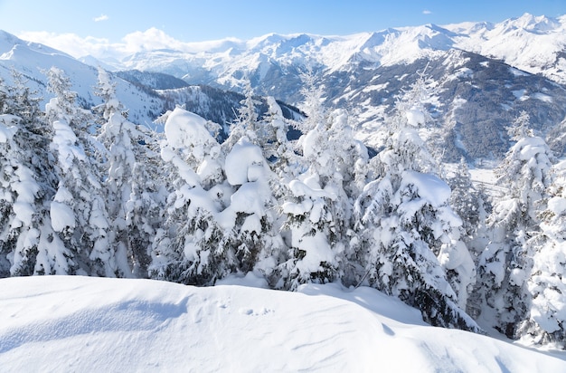 Winter landscape with snow trees and winter mountains, alps mountains