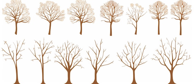 Foto gli alberi invernali sono senza foglie su uno sfondo trasparente png foreste boschi ambiente natura illustrazione cartone animato clipart