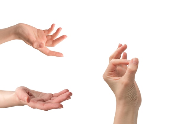 Woman hand isolated on a white background