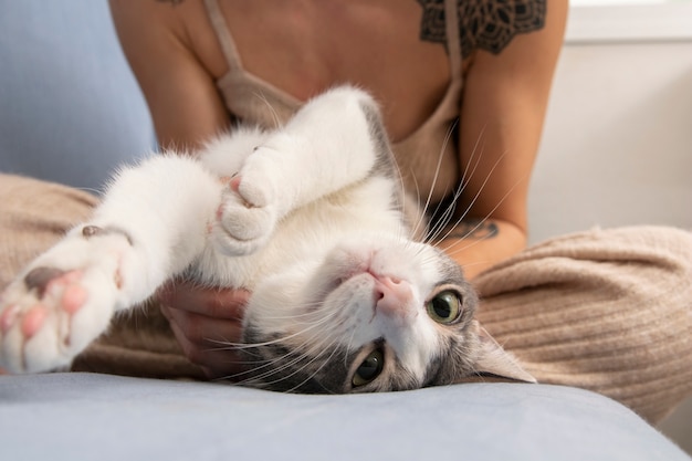 Woman holding her adorable kitty indoors