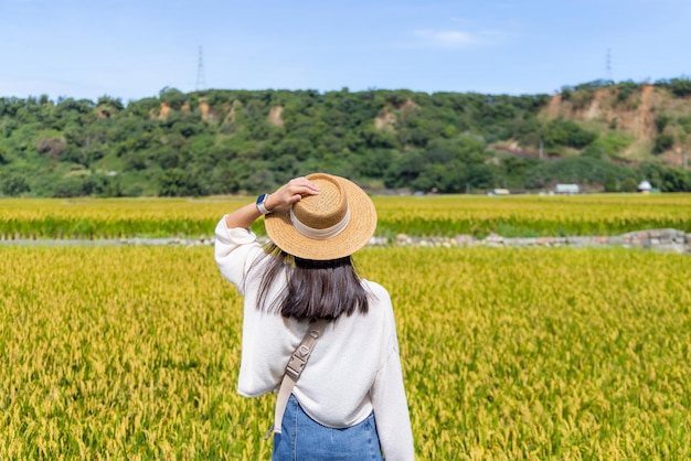 Photo woman visit the yellow rice field in taichung