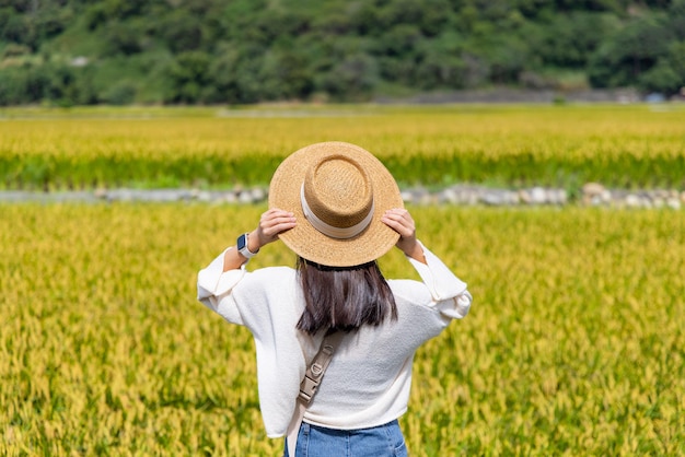 Photo woman visit the yellow rice field in taichung