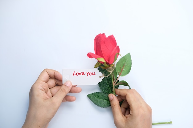 women hand holding rose flower on white space