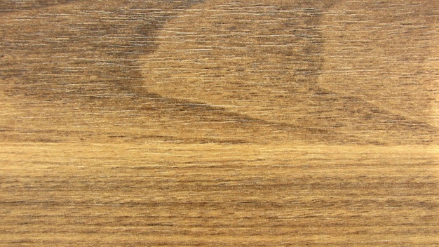 Wood grungy background