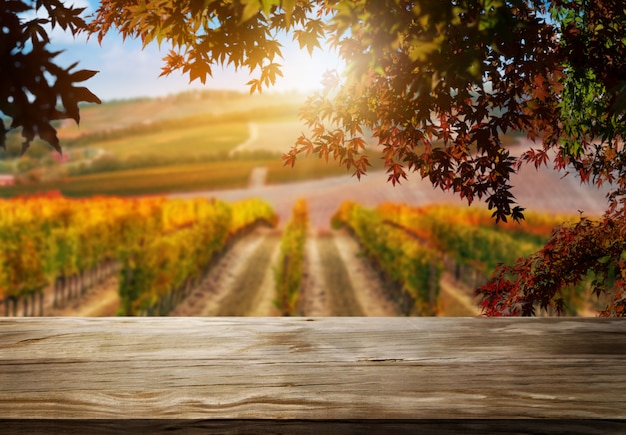 Wood table background in autumn vineyard country landscape.