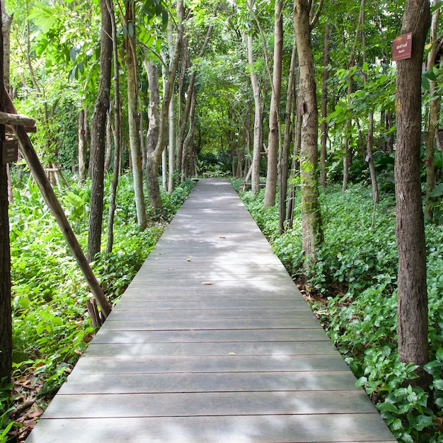 Photo wooden bridge in the park