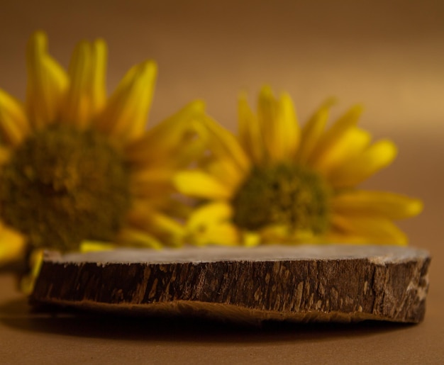 Wooden product podium or showcase with sunflowers. Presentation background for perfume and cosmetic