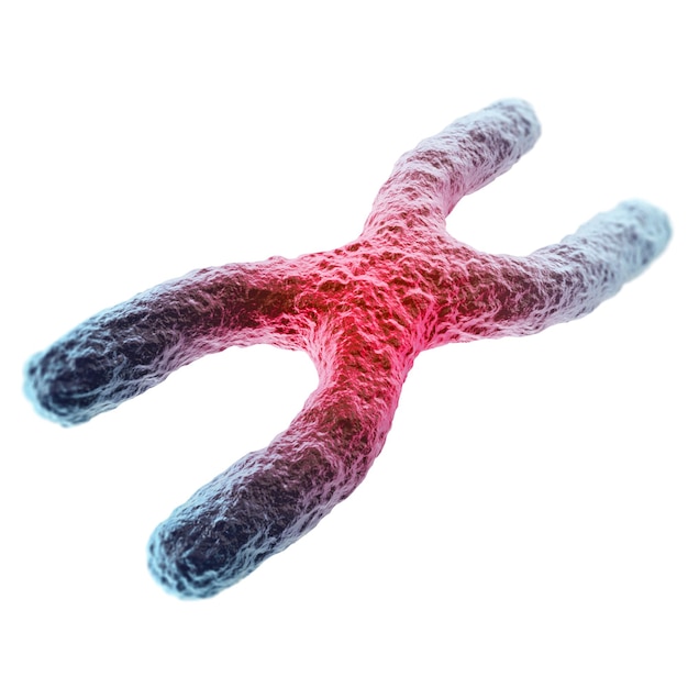 Photo x chromosome red in the center the concept of infection mutation disease with focus effect 3d illustration