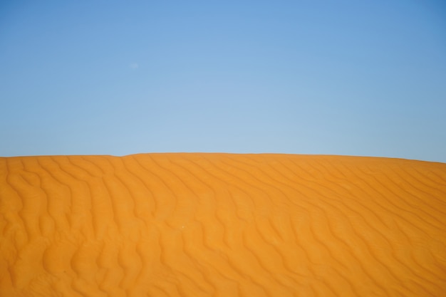 Yellow desert dunes and sky.