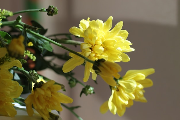 Yellow Flowers