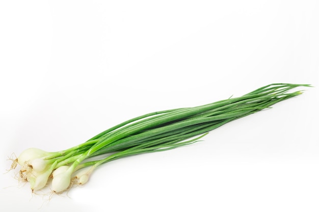 Young green onion set isolated on white