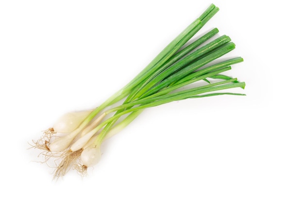 Young green onion set isolated on white