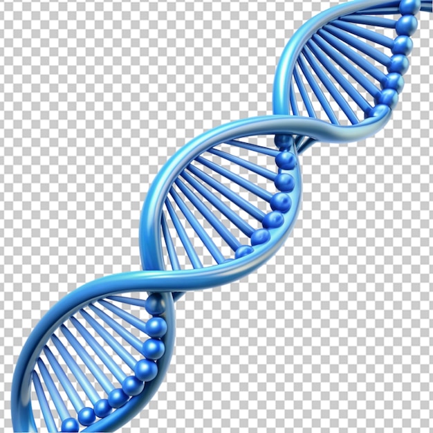 PSD 3d blue dna helix sequence element on transparent background