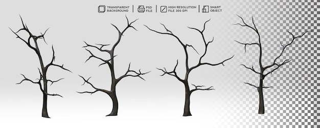 PSD 3d design set barren tree without leaf