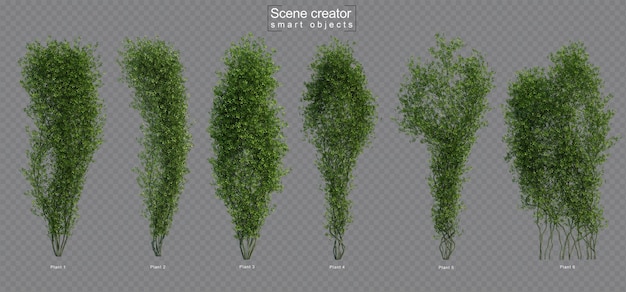 아케비 아 나무 장면 작성자의 3d 렌더링