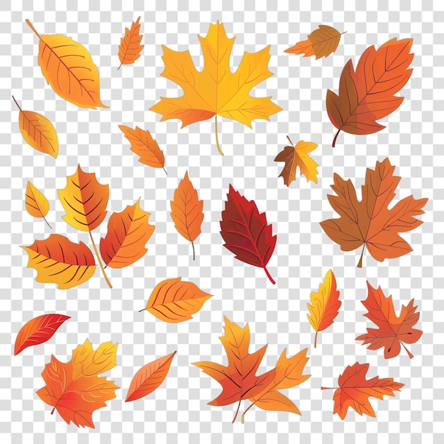 PSD autumn leaves transparent background vector element