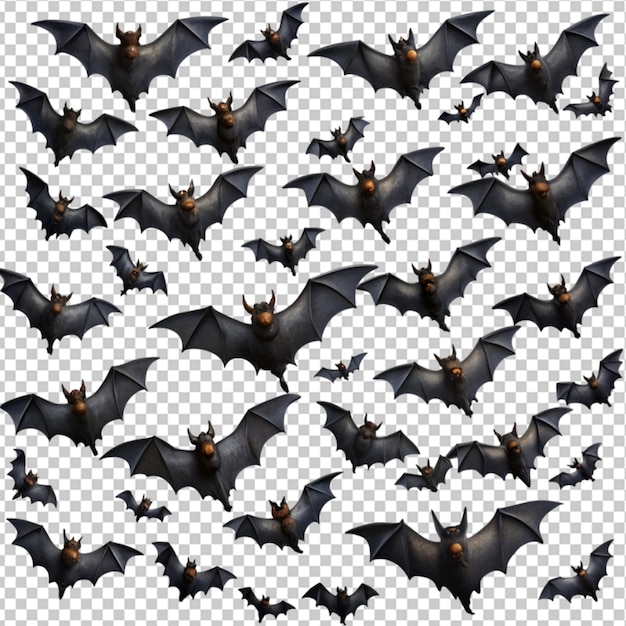 PSD bats flying