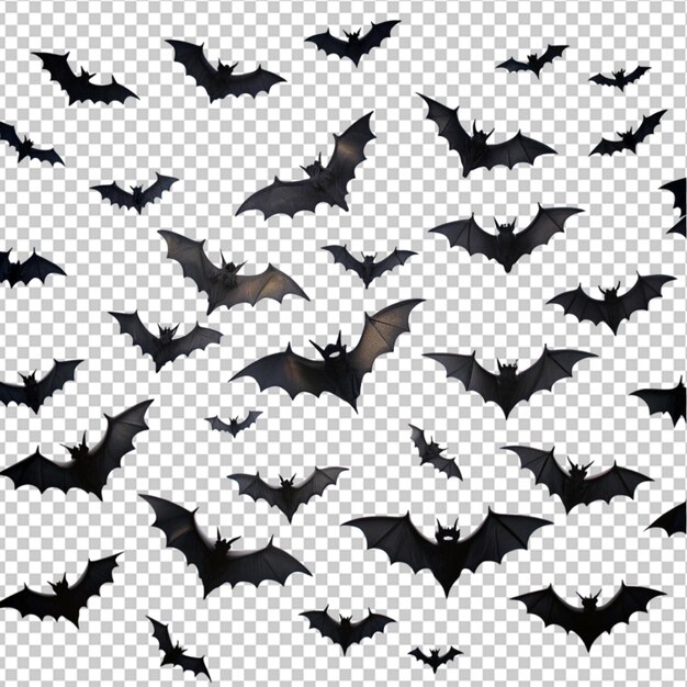 PSD bats flying