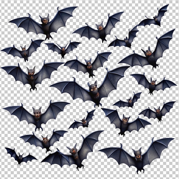 PSD bats flying