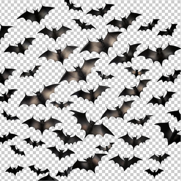 PSD bats flying