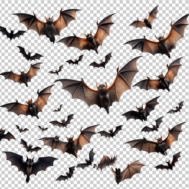 PSD bats flying