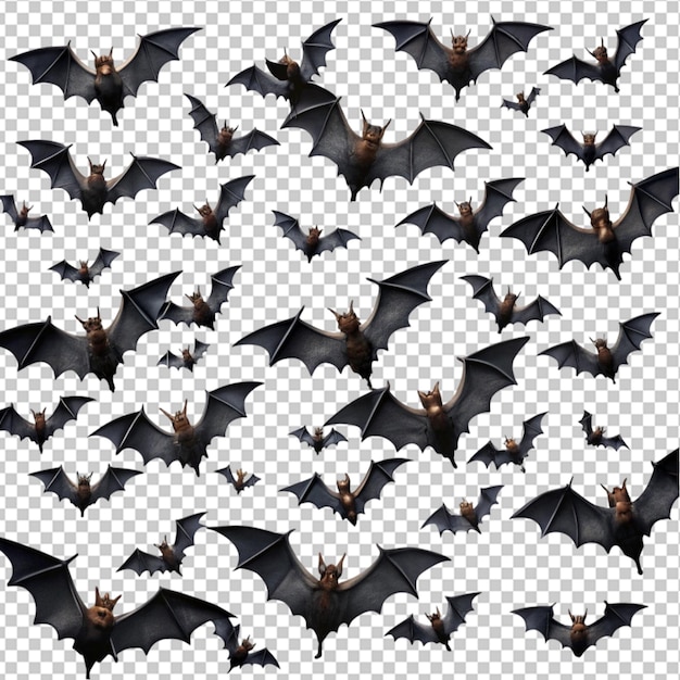 PSD bats flying