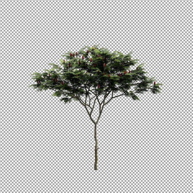 Beautiful plant in 3d rendering isolated