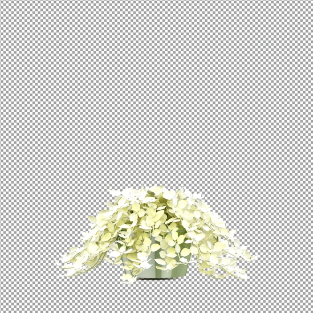 Beautiful plant in 3d rendering isolated