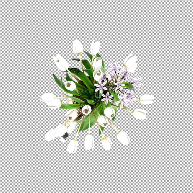 Beautiful plant in 3d rendering isolated